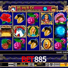 bet885 Rio de Janeiro - Bonus Terms